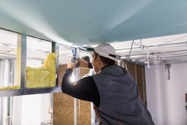 Best Attic Insulation Installation  in Lagrange, IN