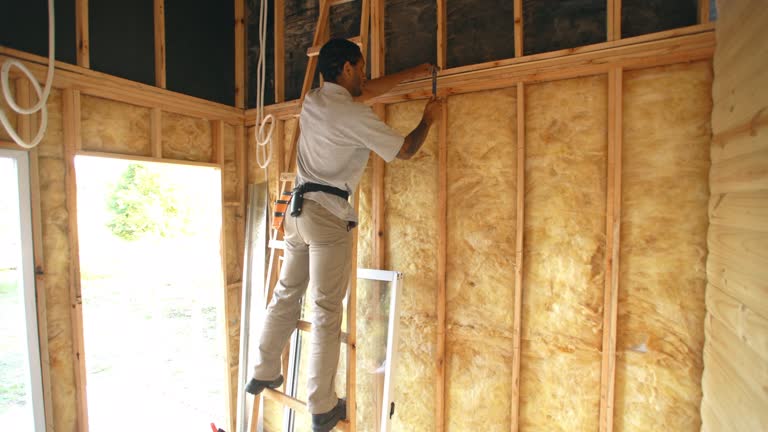 Best Spray Foam Insulation  in Lagrange, IN